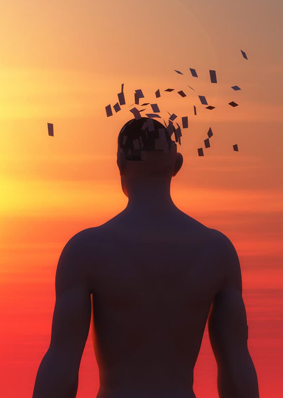 Contactar con el gabinete de psicología Ecoha